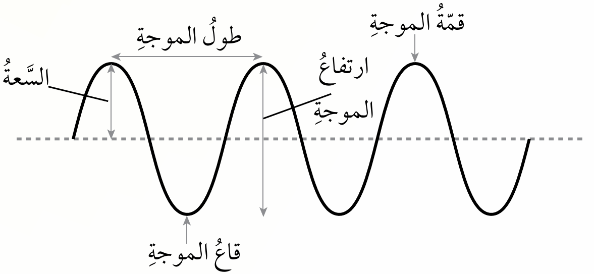 مكونات الموجة